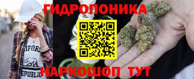 ГАЛЛЮЦИНОГЕННЫЕ ГРИБЫ Лесосибирск
